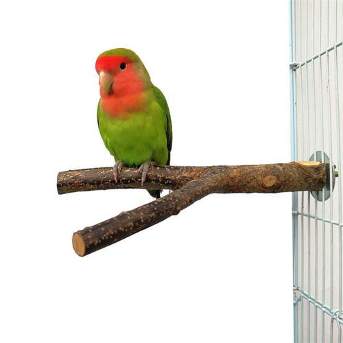 15/20cm Natural Wood Pet Parrot Raw Wood Fork Tree Branch St