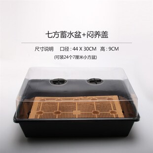 同根生多肉花盆 蓄水盆 闷养盆 可整理小方大方育苗盆 可蓄水