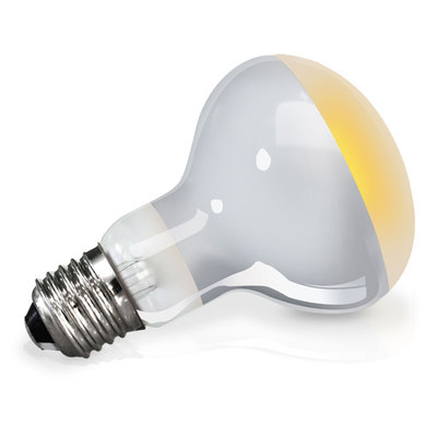 陆龟爬宠爬虫uva全光谱太阳加热灯泡宠物保温加温日灯柔和型