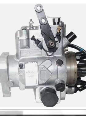 燃油喷射泵 RE521065 DB4327-5872  RE521065 DB4327-5872