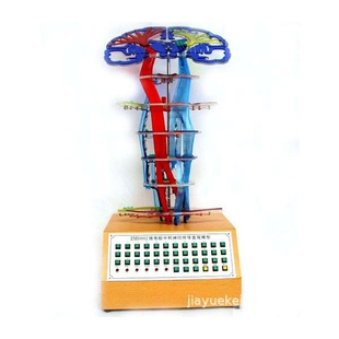 中枢神经传导电动模型  型号：YJ/SJ0017，人体神经系统模型