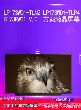 LP173WD1-TLN2 LP173WD1-TLP4   B173RW01 V.0  方案面板屏幕