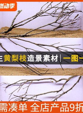 原生缸造景黄梨枝沉木装饰南美缸鹿角枝素材一物一拍鱼缸倒挂树枝