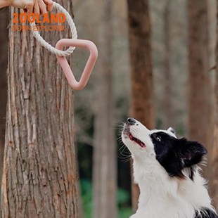 ZOO宠物狗狗拔河玩具绳结互动拉扯磨牙耐咬逗训中大型犬专用