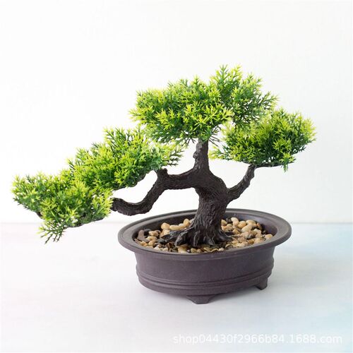 Welcome pine bonsai decoration simulation plant bonsai home