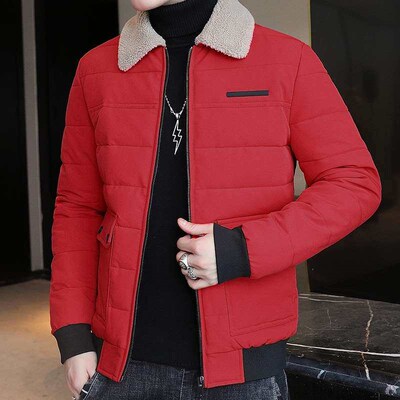 Winter Mens Cotton-padded Clothes Fashionable Short Lamb Wo