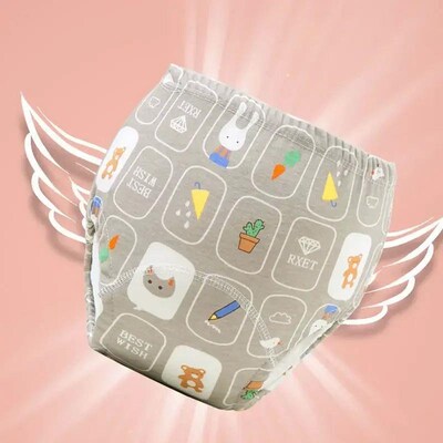 5PC Baby Diaper Potty Training Pants Waterproof Washable Co