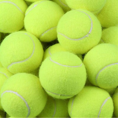 24cm Dog Chew Toys Tennis Ball Large Pet Toys Funny Outdoor