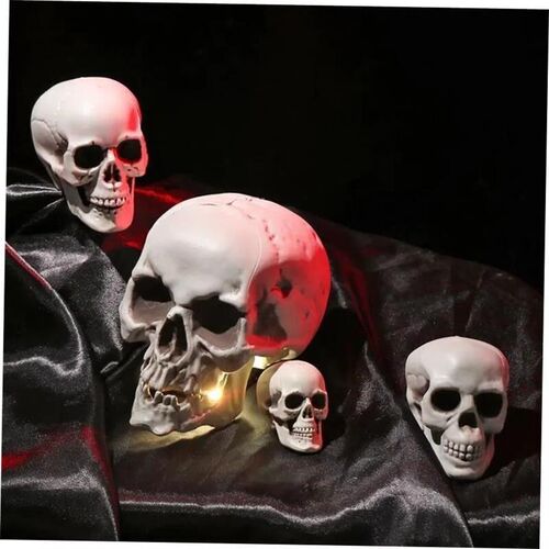 All Size Human Skull Head Skeleton Hanging Skull Halloween S