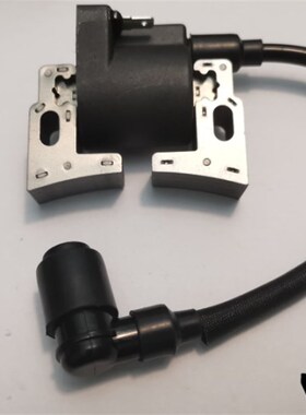 Chongqing Quality Ignition Coils Kit fits for 2V77 2V78 GX62