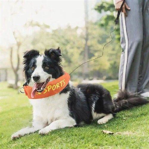 Retractable Dog Leashes Retractable Dog Collar Adjustable