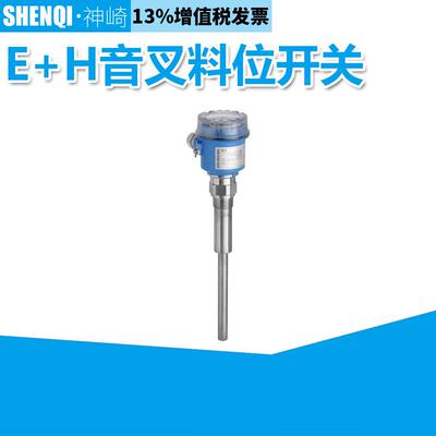 一体化音叉开关FTM20-4A45A德国E+H恩德斯豪斯
