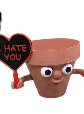 Flower Pot With Face Funny Angry Expression Succulent Plant