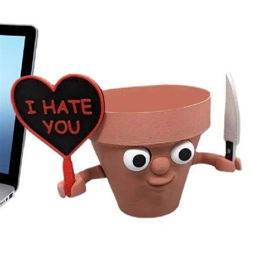 Flower Pot With Face Funny Angry Expression Succulent Plant