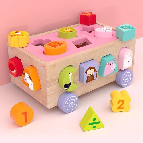 Shape Sorting Cube Color Recognition Build Bricks for Kids