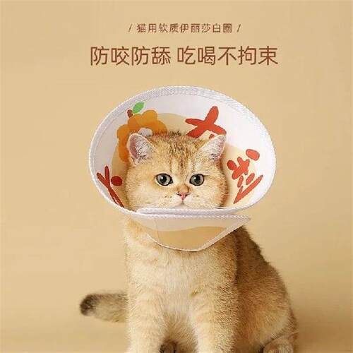 Elizabeth Cat Collar Anti Lick English Short Cat Soft Neck