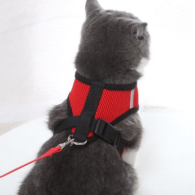 Polyester Mesh Cat Harness and Leash Set Breathable Kitten C