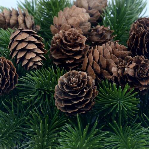 10pcs 3CM  Natural Cheap Mini Pine Nuts Artificial Fake Frui