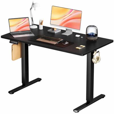 Electric Standing Computer Desk Height Workstation Ergonomic