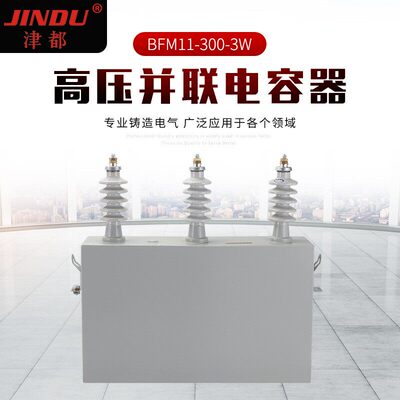 高压并联电容器BFM11-13W