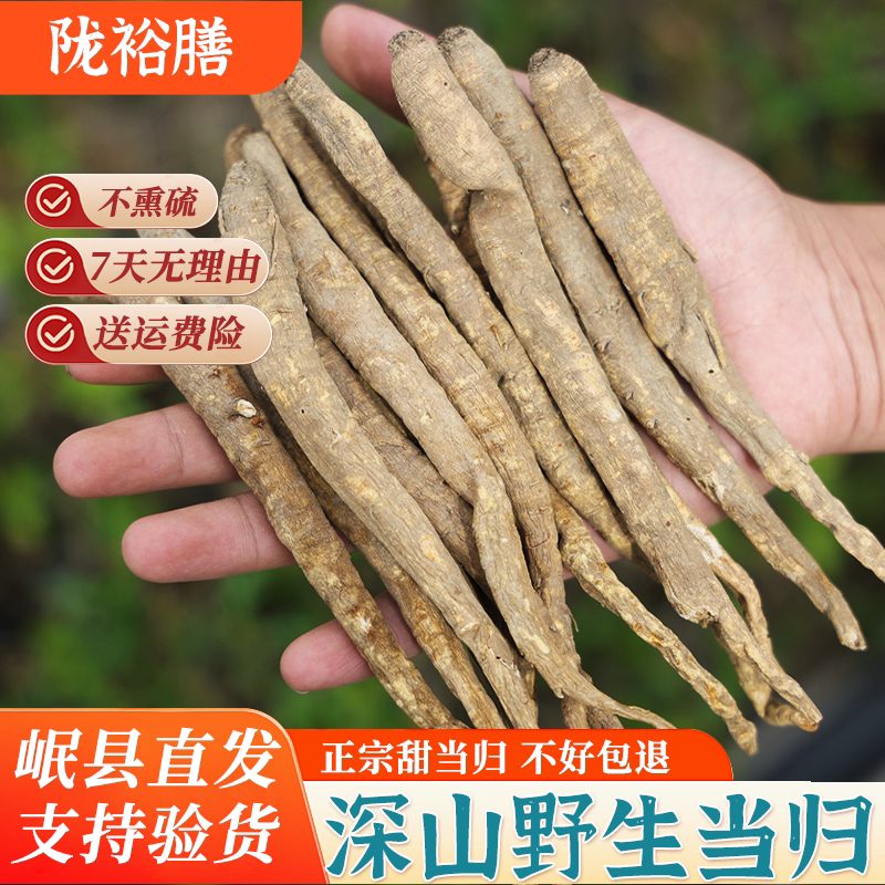 野生甜当归500g整根中药材图片