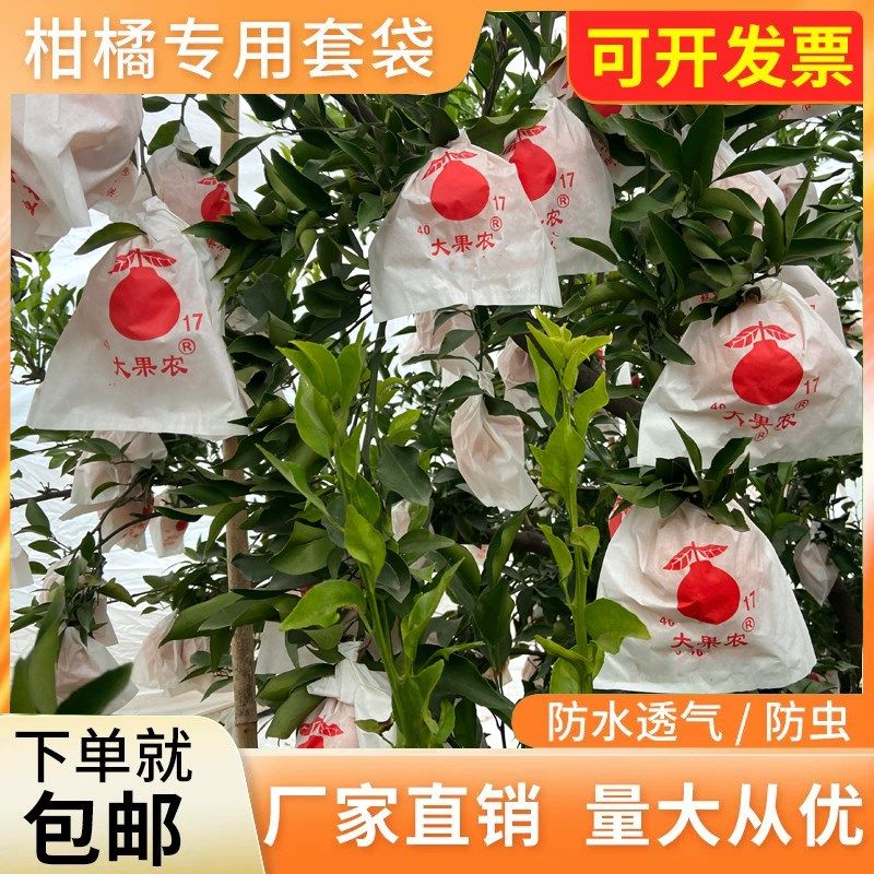 柑橘套袋橘子果袋丑橘橙子耙耙柑春见不知火24款脐橙石榴水果防虫