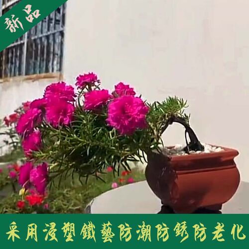 太阳花造型支架龟甲龙山乌龟金枝玉叶爬藤架悬崖桩浸塑铁艺花架