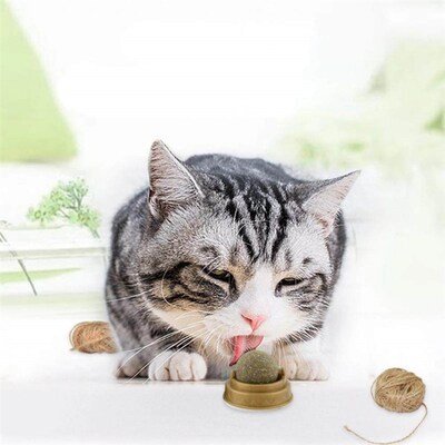 1PC Natural Catnip Cat Wall Stick-on Ball Toy Treats Healthy
