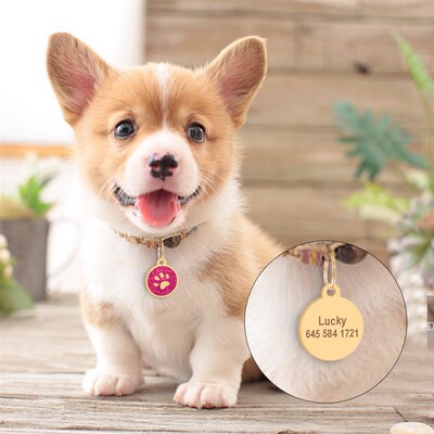Personalized Pet Cat Dog ID Tag Collar Free Engraved Custom