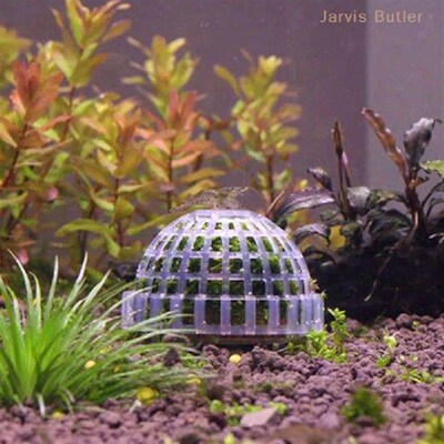 1pc Plastic White Aquatic Pet Supplies Decorations Aquarium
