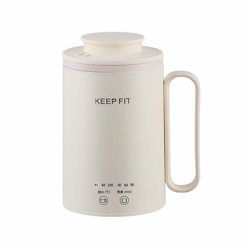 花茶泡茶养生杯旅行保温电煮杯办公室小功率电炖杯智能加热烧水杯
