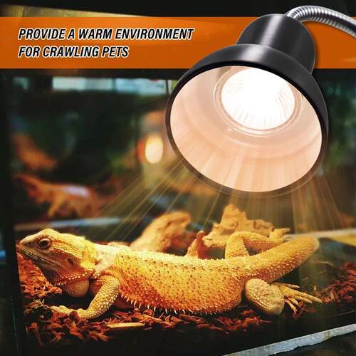 UVA+UVB 3.0 Reptile Lamp Holder Set with Clip-on Thermometer