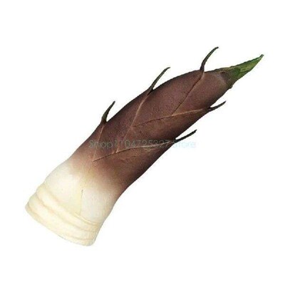 Realistic Artificial Bamboos Shoots Simulation Bamboos
