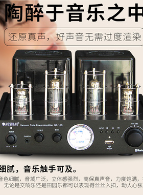 奥斯堡NE10S发烧hifi胆机电子管家用.0款音响功放机胆机