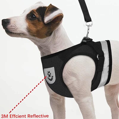 Cat Harnesses and Puppy Harness with Leashes Set Escape Proo
