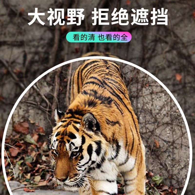 看演唱会筒望远镜小型便携式高倍高清追星望眼镜观剧看话剧倍