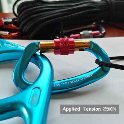 25KN Professional Climbing Carabiner D Shape Aviation Alumin