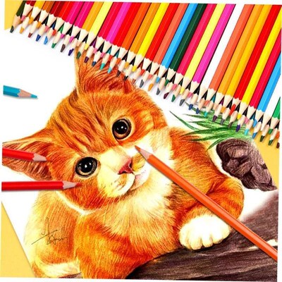 Oil colored pencil students draw 48 color pencils by hand