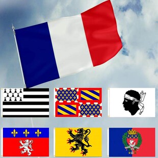 France flag 法国州旗 90*150cm 法国省旗 地区旗