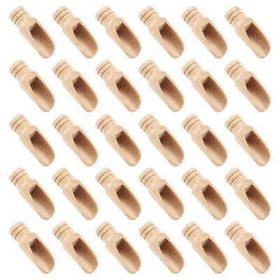 30 Pieces Salt Spoons Small Wooden Spoon with Short Handle
