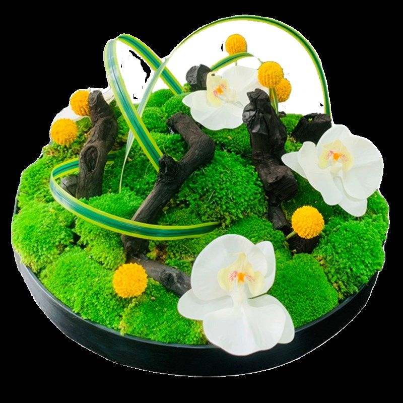 酒店餐桌花摆花高端永生苔藓大圆桌装饰摆设件餐厅转盘中式微景观,家居饰品,餐桌花艺,淘宝优惠券,粉丝福利购,淘宝优惠卷