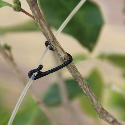 Hook Vegetable Vine Fixing Clamp Grafting Clips Reuseable 10