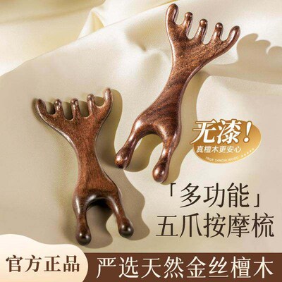 Head Meridian Massage Comb Head Fe Scalp Gua Sha Scraping