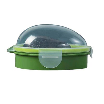 Half-round transparent lid storage box for home kitchen, avo