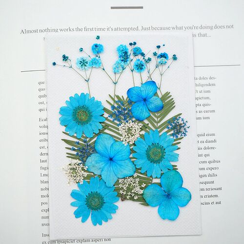 Real Flower Pressed Flower Internet Celebrity Face Decoratio
