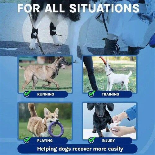 2pcs Soft Breathable Dog Knee Pads Pet Joint Protection