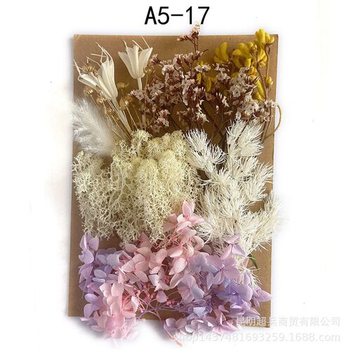 [a5 Embossed Material Package] Dried Flower Preserved Flower