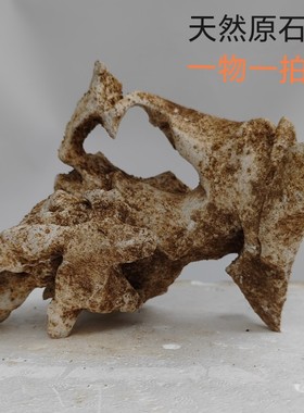 太湖石墨石奇石摆件天然原石阳台客厅书房文房办公室鱼缸盘景石头