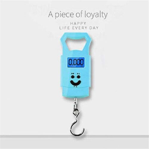 Fishing Scale Digital Accurately Weighing Mini Electronic