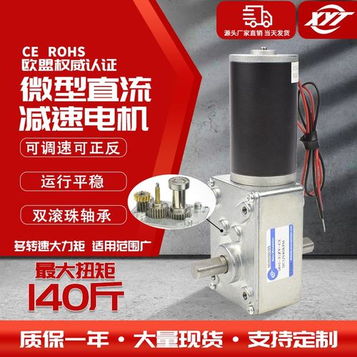 5840-31ZYS微型涡轮蜗杆直流减速电机 低速调速小马达12v24v双轴